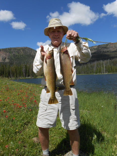 Big fish